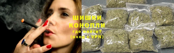 хмурый Аркадак
