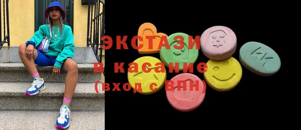 хмурый Аркадак