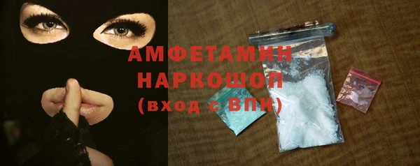 хмурый Аркадак