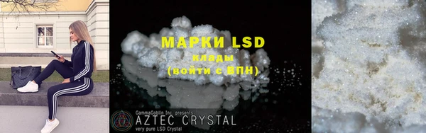 хмурый Аркадак