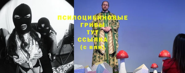 герыч Арсеньев