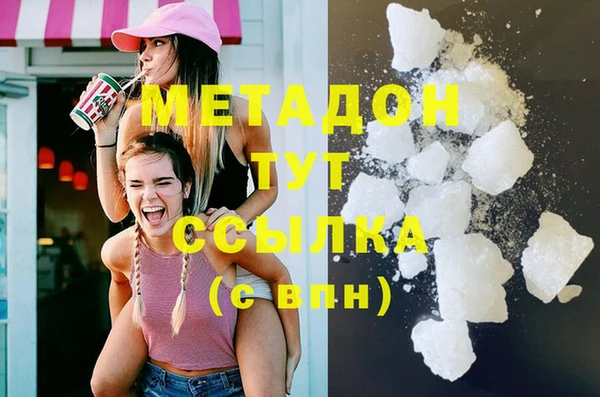 хмурый Аркадак