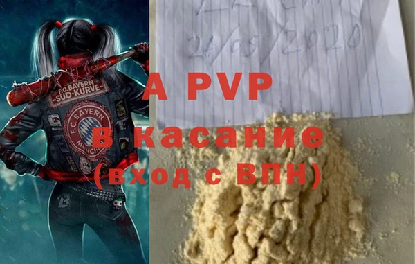 хмурый Аркадак