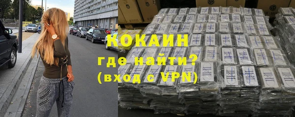 хмурый Аркадак