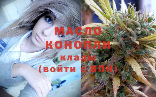 хмурый Аркадак