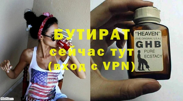 хмурый Аркадак