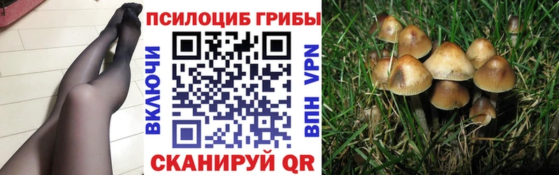 Галлюциногенные грибы Psilocybe  OMG ссылка  Хвалынск 